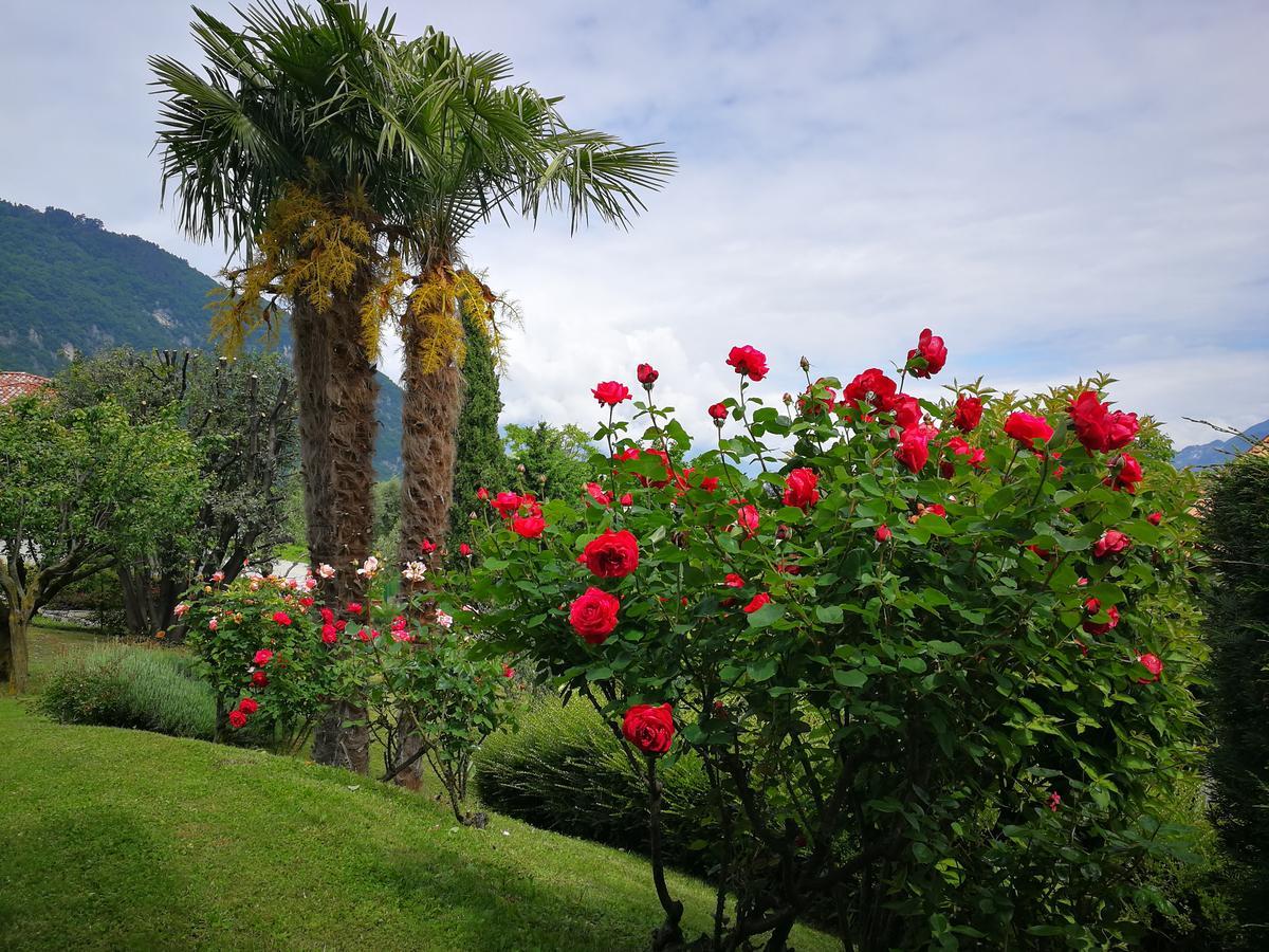 Bellagio Lake View Villa Oliveto Lario エクステリア 写真