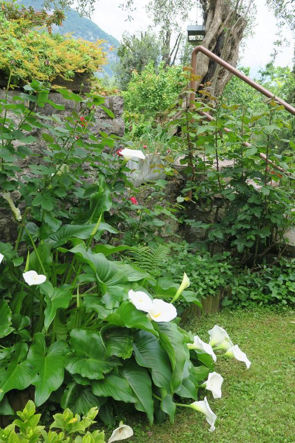 Bellagio Lake View Villa Oliveto Lario エクステリア 写真