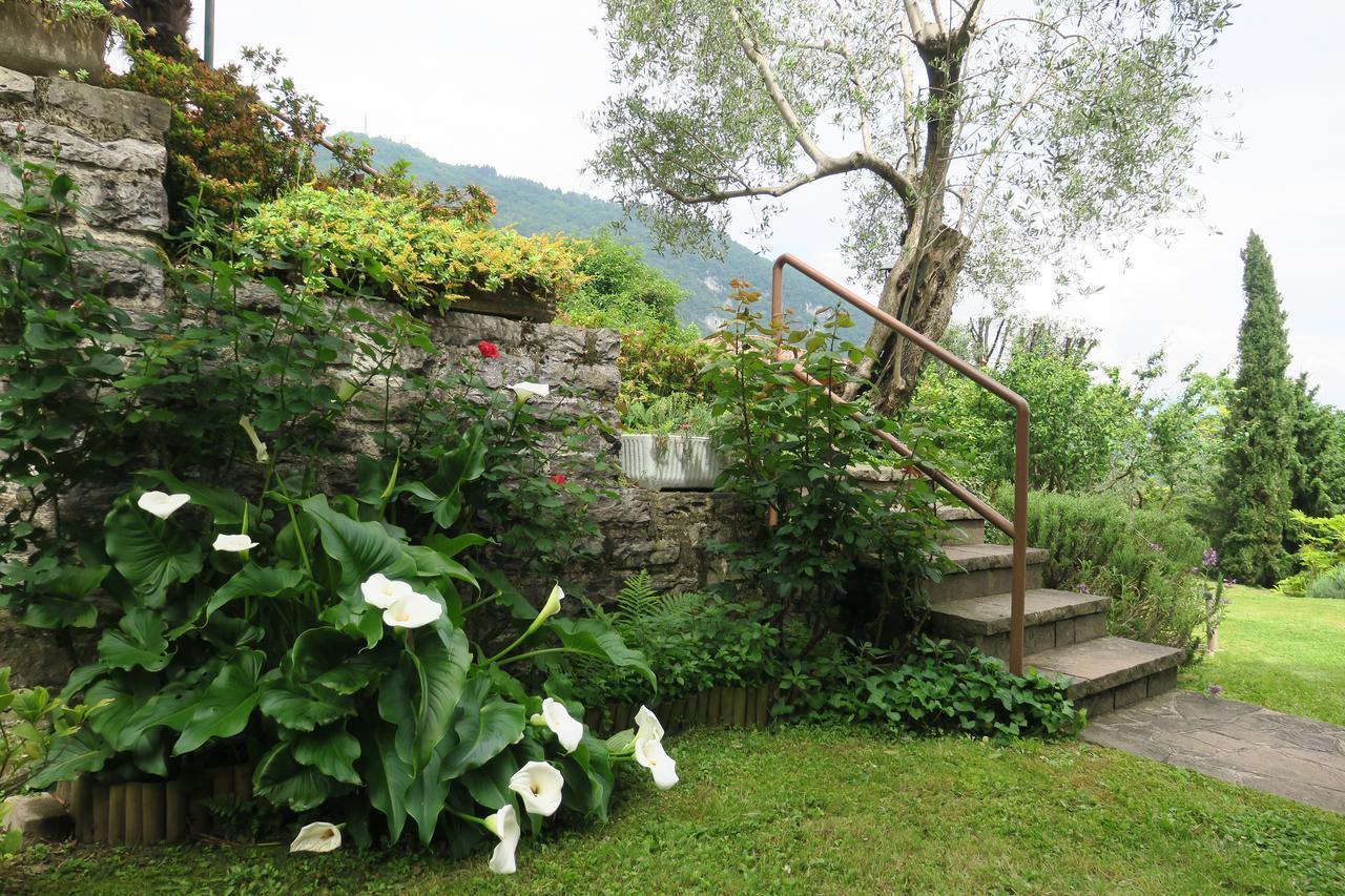 Bellagio Lake View Villa Oliveto Lario エクステリア 写真