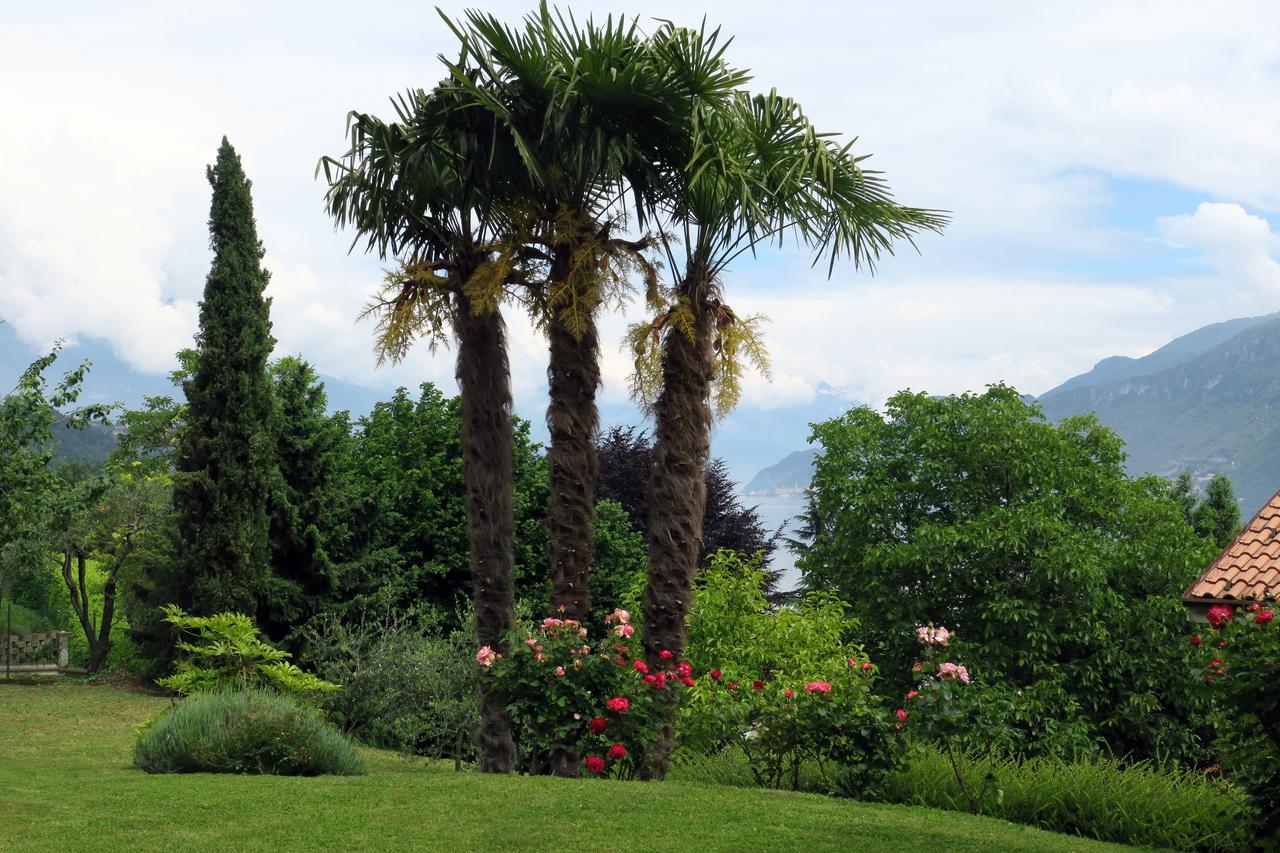 Bellagio Lake View Villa Oliveto Lario エクステリア 写真